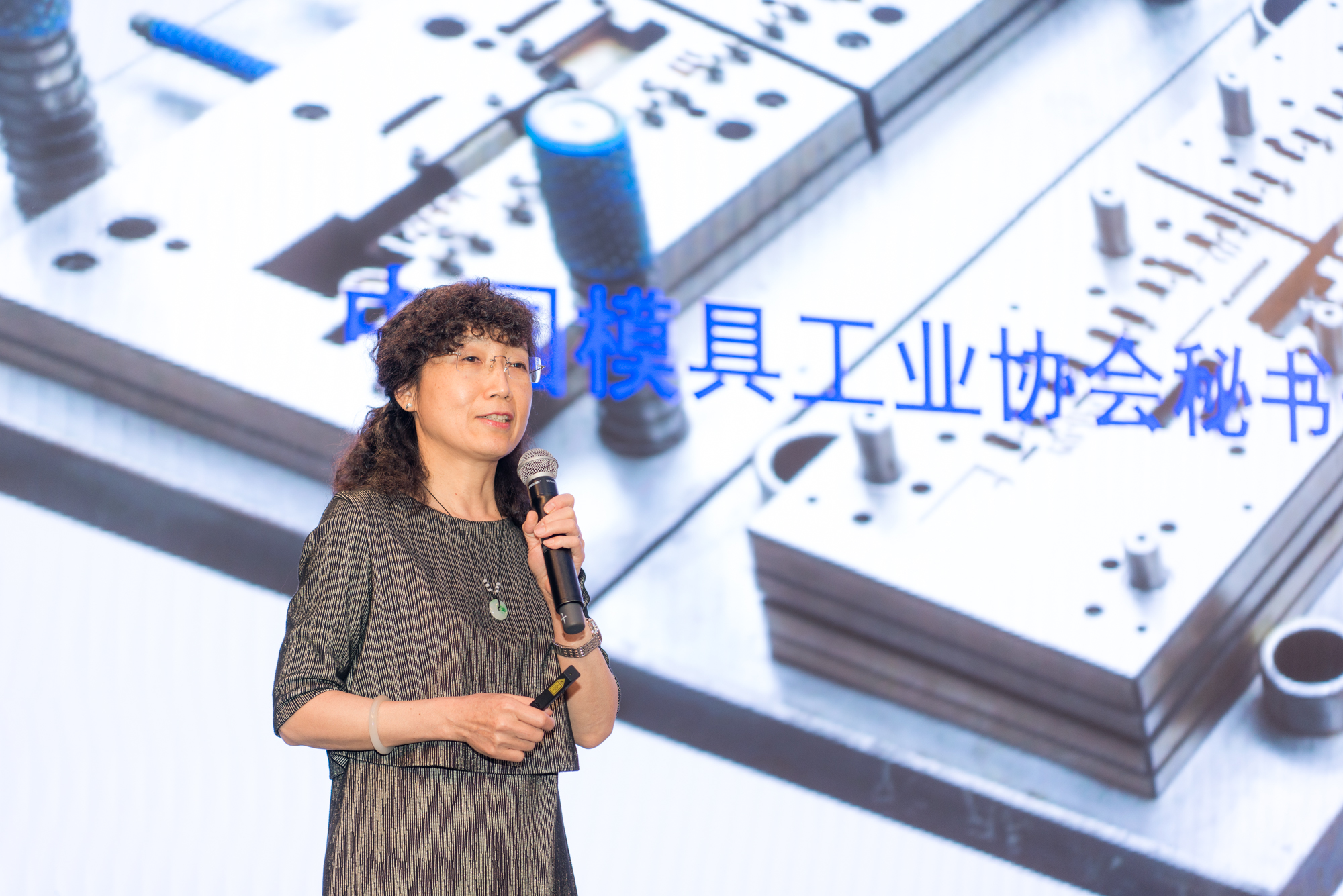 模具研討|“智造”落地，思瑞三坐標助力“數(shù)字北侖”建設(shè)(圖2)